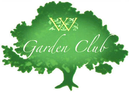 WimbledonLogoProoftree+only_edited.jpg