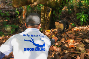 IMG_9487_Original 2.jpg