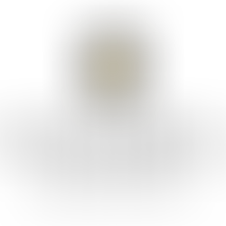 Come and Experience The Eleventh “Raan Dung Ross Ded: RDRD Street Food Market @Salathip”