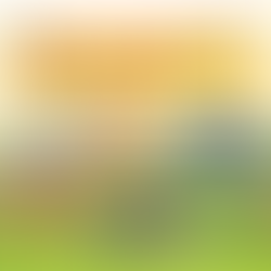 Raffle Announcement : Canada Day 2024