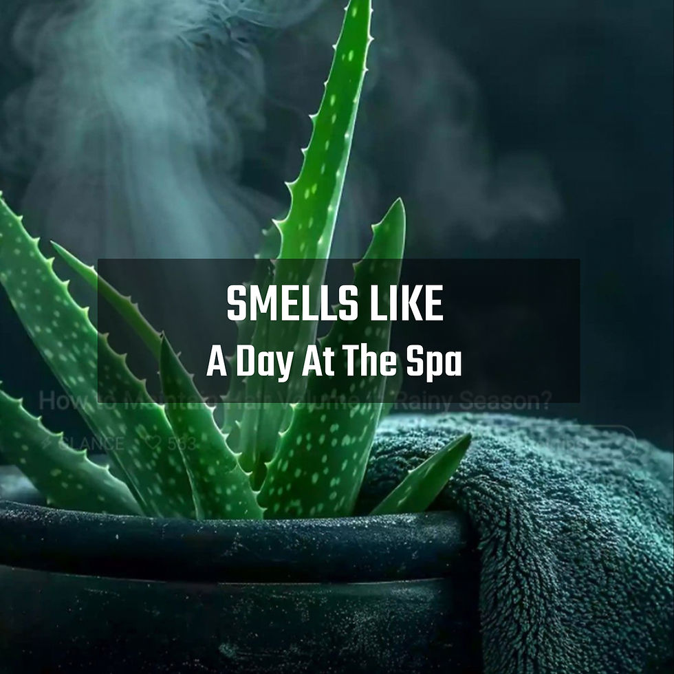 Thumbnail: Aloe Overkill — 3 Pack