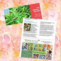 Copy of RECASummer2021 (1).png