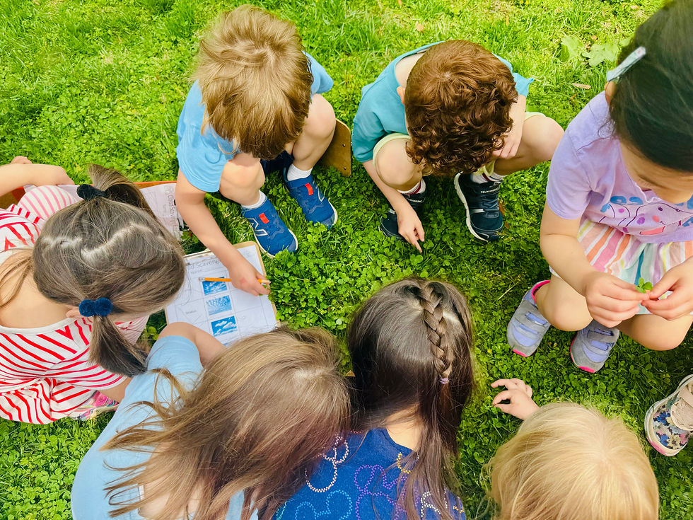 Pow-wow at the clover bed.