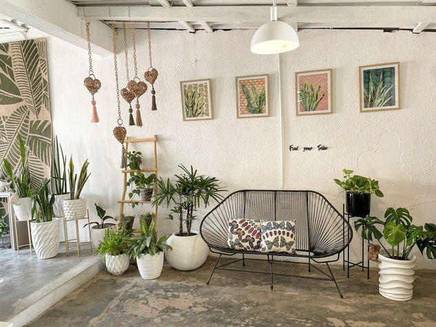 decoration 
