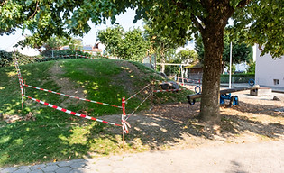 Luna Kopie.jpg