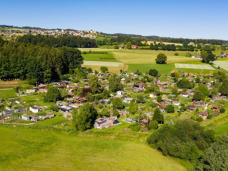 Hausgärten: Zu viel Dünger schadet