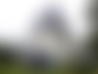 Emcee Singapore - 15th November 2024, Lee Kong Chian School of Medicine - Empowering Our LKCMedicine Postgraduate Alumni