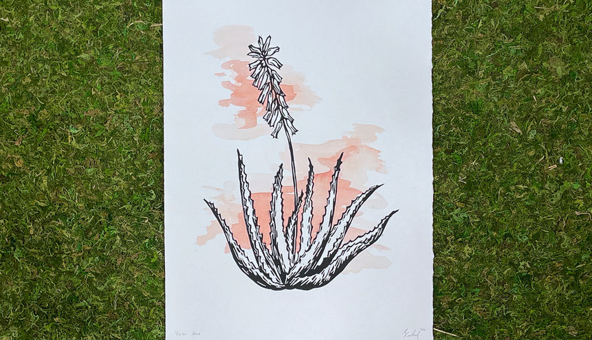 Aloe print