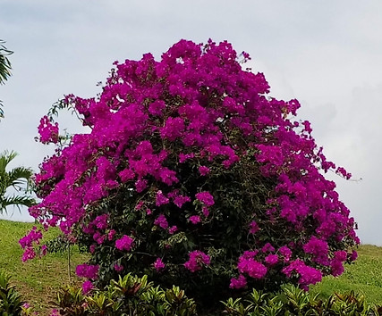 20180409_141602.jpg