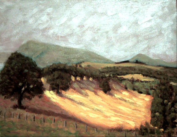 Tesoriere Collection