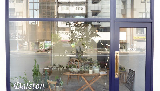 松山美紗 多肉植物展 | Gallery Dalston