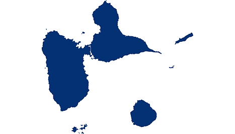 Protect nuisibles 971 intervient sur toute la Guadeloupe