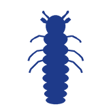 insect-termite-shape.png