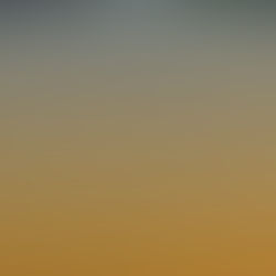 One Sound Is Live: 14 Albums, 2 Singles, and a New Way to Listen