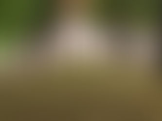 Robbing a Country of its Art and Soul