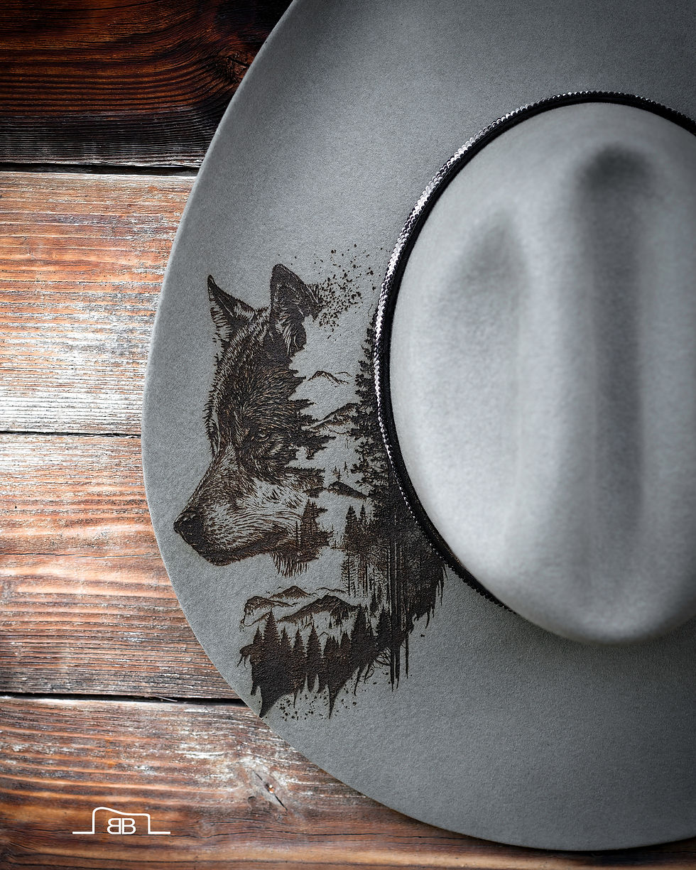 Wolf In The Mountains