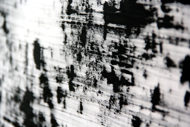 FLUX DETAIL 3-web.jpg
