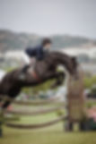 action-adult-animal-874278.jpg