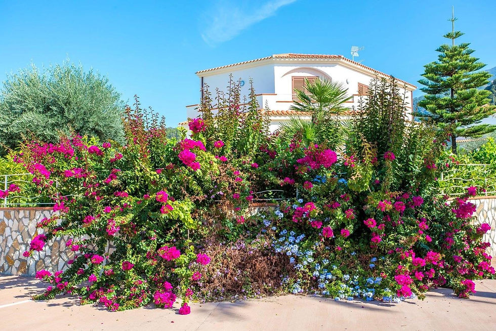 Miniatura: Villa Bifamiliare Belvedere Marittimo