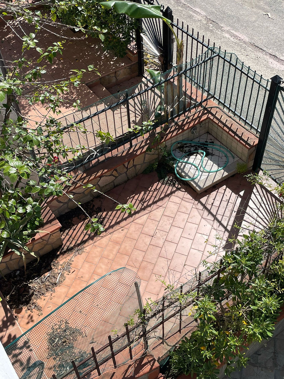 Miniatura: Appartamento Belvedere Marittimo