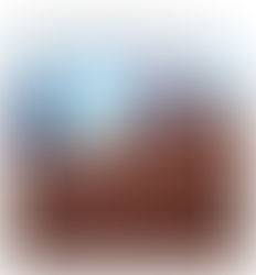 Why Professional Home Watch Matters - and Why it Costs More