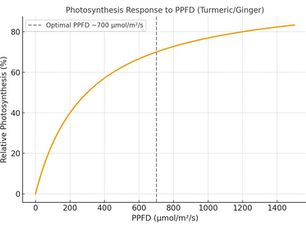 Beyond Capsicum and Tomato: Smarter Crops and Precision Farming Technologies Make Polyhouses Truly Profitable