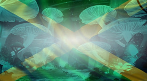 Jamican flag with mushrooms