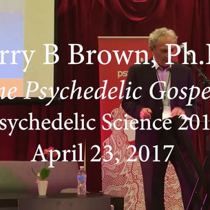 The Psychedelic Gospels - The Secret History of Christianity