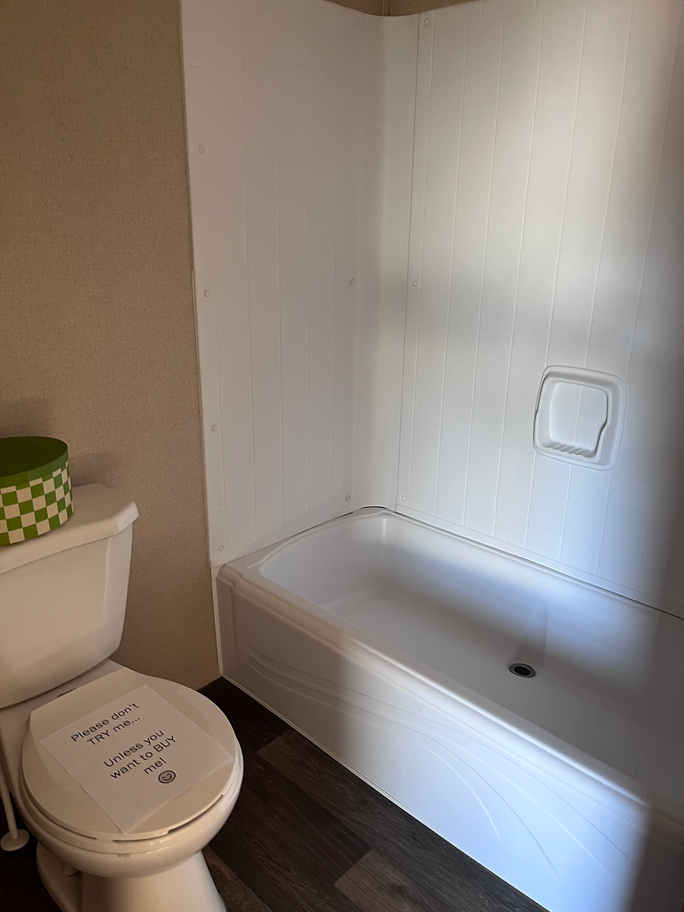 Thumbnail: Bliss | 2 Bed | 1 Bath | 14x60