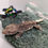 Miniatura: FL - M - 2024