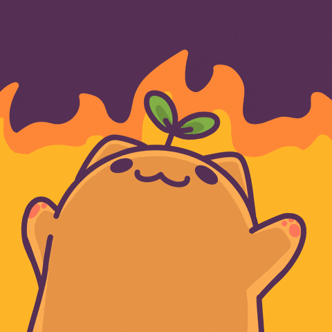 Cat Burn GIF.gif