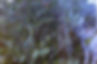 PICT0073.JPG