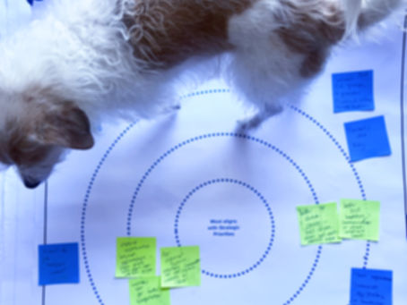 A small dog standing on top of a bullseye diagram with blue and green sticky notes.