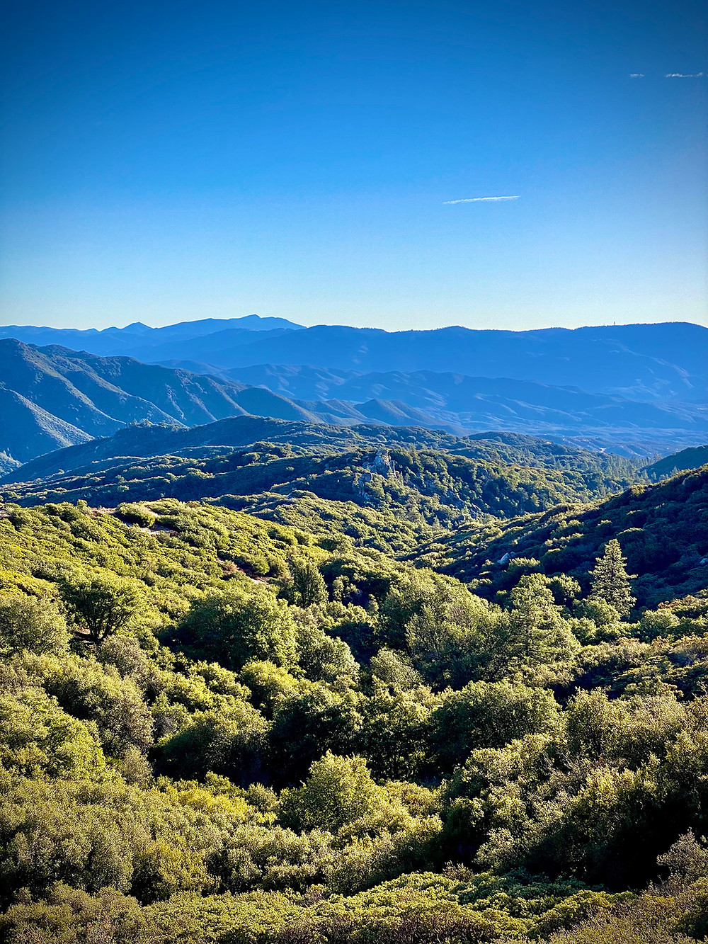 Hot Springs Mountain | Santaego | San Diego Hiking Club, California Hikes, Cocktail Hiker
