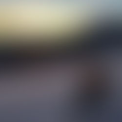 Was macht Eric Buchs, Skileherer der Skischule Jaun, während des Sommers?