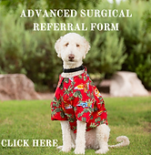 Advanced Surgery Referral Form (1).png