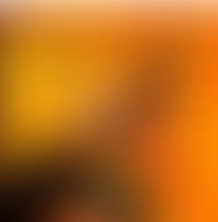 Imperatriz Dona Leopoldina - Série Ouro 2026