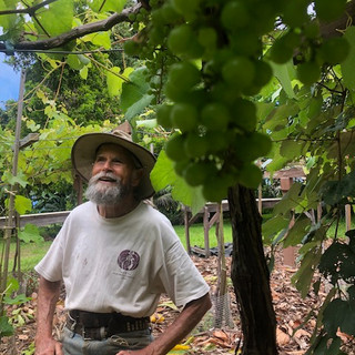 Gerry under grapes.jpeg