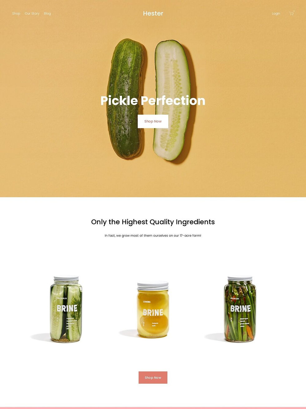 image-asset (2).jpeg