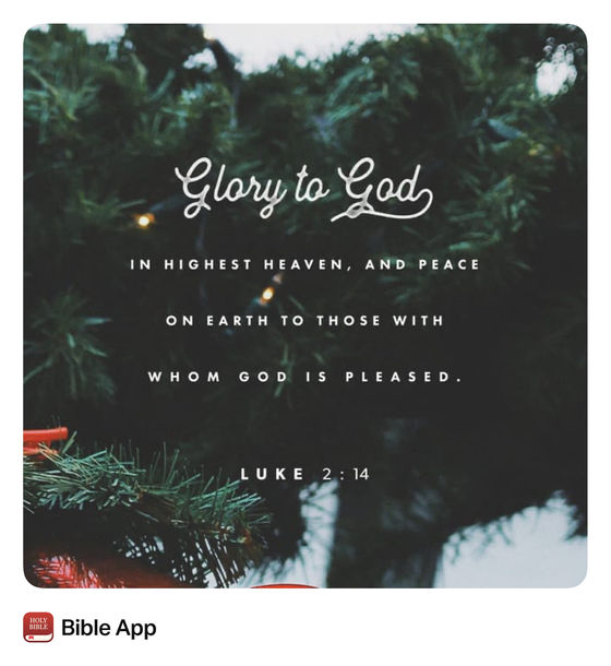 Fear Not, Your Savior Is Here!