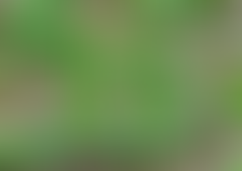 Proverbs of a 41 yr old man