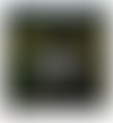 A Gift Worth Receiving