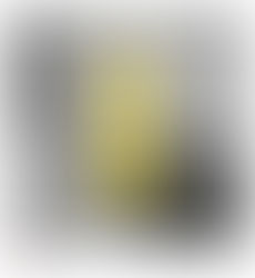 Changing Our Perspectives