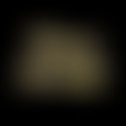 Praise and Worship Monday’s