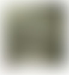 Wrestling with Unbelief