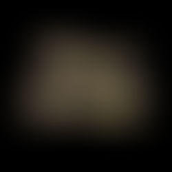 Monday’s Praise and Worship