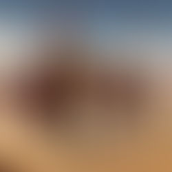 Weds morning zoom battle prayer link 4/23/24