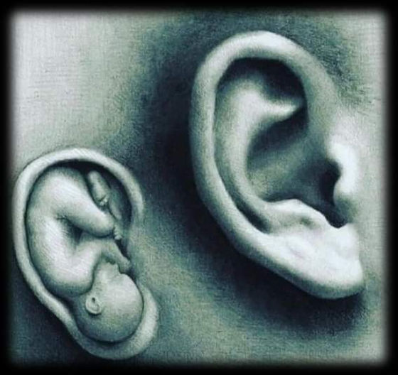 Proverbs of a 41 yr old man