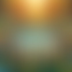 Encouragement Wednesdays 1/22/25