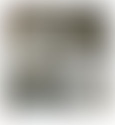 A Gentle King Who Makes Peace